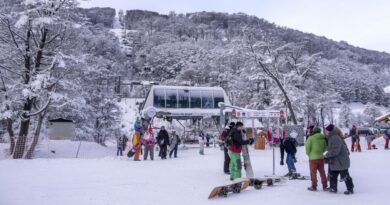 (Foto: Alejandra Bartoliche)